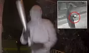 Chicago Home Invasion: Masked Thugs Bomb Elderly Woman's House as She Lay Dying Inside