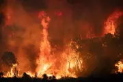 Climate Crisis Ignites: Europe Battles Raging Wildfires While Trump Denies Global Threat