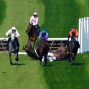 Constitution Hill's Champion Hurdle Defence in Jeopardy After Shocking Eye Test Results