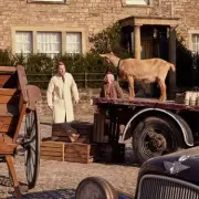 Creatures Great and Small Season 6 Release Date: All the Details on the Hit Channel 5 Drama's Return