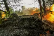 Czech President Urges NATO: Shoot Down Trespassing Russian Jets Over Ukraine