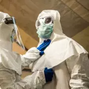 Deadly Langya Virus Sparks Global Alarm: 70% Mortality Rate and 35 Cases Confirmed