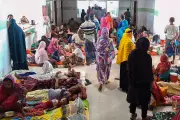 Dengue Crisis Grips Bangladesh: Record Death Toll and Cases Surge in Unprecedented Outbreak