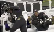 Derrick Henry's Sideline Meltdown Goes Viral as Ravens Star's Costly Fumble Seals Shock Defeat to Lions