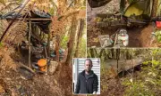 Desperate Search for Missing Brit Tom Phillips Intensifies in New Zealand Wilderness as Major Campsite Discovered