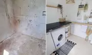 DIY On A Dime: Professional Organiser Transforms Grubby Shed Into Stunning Laundry Room For Just £50