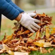 Don't Bin Those Leaves! Expert Urges UK Gardeners to Embrace Autumn Debris for a Thriving Garden
