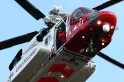 Dramatic Highlands Rescue: Kingfisher Saved After 200-Mile Ordeal to Scotland