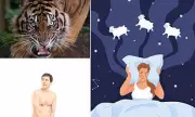 Dream Lab Breakthrough: How A Neuroscientist's App Is Curing Nightmares & Revolutionising Sleep