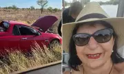 Driver's 'Stupid Mistake' Leaves Him Stranded on Railway Tracks in Queensland