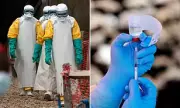 Ebola Outbreak in Congo Doubles: WHO Alarmed as Cases Surge and Pandemic Fears Grow