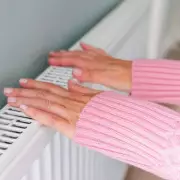 Energy Bills Crisis: Simple £10 Gadget Could Slash Your Costs Instantly