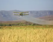 EU's Toxic Trade: Banned Pesticides Shipped to Developing Nations by European Chemical Giants