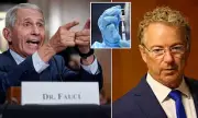 Fauci's Secret Emails Revealed: Rand Paul Accuses Top Doc of Concealing COVID Origins | Exclusive
