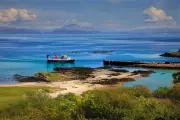 Ferry Crew's Dramatic Skye Rescue: RNLI Praised for Saving 9 Amidst Engine Failure