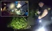 Florida Horror: Couple Trapped in Sinking Car Make Desperate 911 Call as Water Rises | Dramatic Rescue