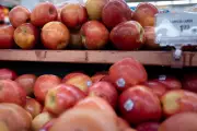 Forget An Apple a Day: Scientists Reveal the Two Fruits That Pack the Biggest Health Punch