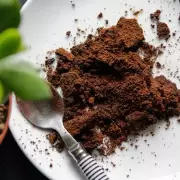 Gardeners' Secret Weapon: Why UK Households Are Sprinkling Coffee Grounds on Plants