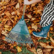 Gardeners' Urgent Alert: The One Crucial March Task to Protect Your Plants From Devastating Frost