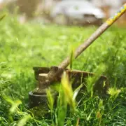 Gardening Expert Reveals 5 Plants You Should NEVER Grow in Your Garden | UK Gardening Guide