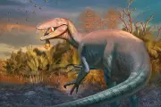 Giant Predator Worm Fossils Unearthed in Greenland: Scientists Reveal Terrifying Ancient 'Death Dragon'