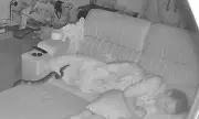 Grandmother's Terrifying Sofa Shock: Python Makes Itself at Home While She Sleeps