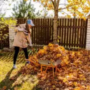 Green-Fingered Genius: The 11p Kitchen Staple That Banishes Garden Pests For Good