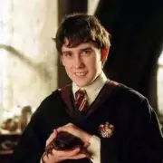Harry Potter Star's Stunning Transformation: Alfie Enoch Unrecognisable in New TV Role