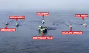 HMS Prince Wales Leads UK's Mighty Naval Show of Force Alongside South Korea in Tense Indo-Pacific