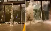 Horror in Hong Kong: Terrifying Moment Super Typhoon Ragasa's Tsunami-Like Wave Smashes Through Hotel Lobby
