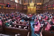 House of Lords Curry Night: Tory Peer's NHS Bill Sparks Outrage