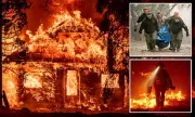 Inside the Inferno: Award-Winning Photojournalist's Harrowing Account of Battling California's Raging Wildfires