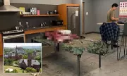Ivy League Chaos: Cornell University Students Kill Bear in Campus Dormitory