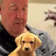 Jeremy Clarkson's New Farm Arrival: Meet The Adorable Calf Named After Top Gear Star