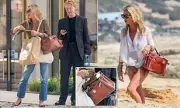 Kate Moss's Birkin Bag Doggy Bag Stuns Onlookers | Supermodel's Lavish Pet Accessory