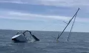 Killer Whales on the Attack: Scientists Reveal Why Orcas Are Ramming Boats in European Waters