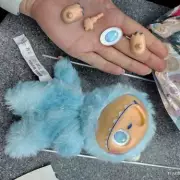 Labubu Toy Craze Sparks Urgent UK Safety Alert: Parents Warned Over 'Dangerous' Craze
