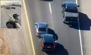 Las Vegas Police Apprehend Carjacker in Dramatic Grappler Sting Operation