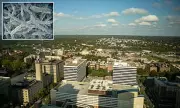Legionnaires' Disease Outbreak Spreads: Manhattan Cases Now Confirmed in Westchester County