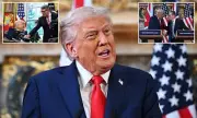 Lord Mandelson's Awkward Denial: 'I Don't Know Trump' Amid Epstein Email Scandal Fallout