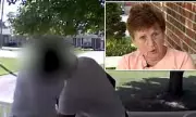 Louisville Teen Charged After Shocking Grope Attack on Elderly Woman in Broad Daylight
