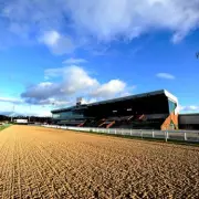 Lucky 15 Sensation: Punter Lands £184,000 Windfall from £2 Bet at Cheltenham Festival