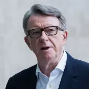 Mandelson's Secret Epstein Warning: Labour Peer Told Financier to 'Fight Early' in Bombshell Email Exchange