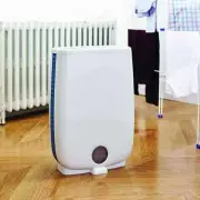 Meaco Dehumidifier Review: The Ultimate Solution to Beat UK Damp and Mould Problems