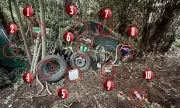 Missing Brit Tom Phillips' Abandoned Campsite Found in New Zealand Wilderness | Daily Mail