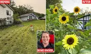 Missouri Homeowner's Heartbreaking Battle: Council Orders Destruction of Memorial Sunflower Garden for Late Wife
