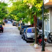 Motorists Alert: The Hidden Dangers of Parking Under Trees Revealed