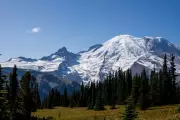 Mount Rainier National Park Faces Severe Water Crisis After Critical Pipeline Failure