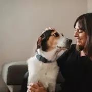 Mum's Genius Ring Camera Hack to Monitor Dog's Day Goes Viral | UK Home Tech