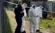 Mystery in the Marrows: Forensic Probe Launched After Body Discovered on North London Allotment